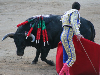 Gijon, Spain9