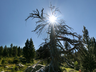 Parque de Aigüestortes, Spain1