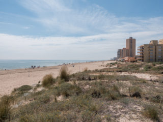 Palmar, España 3