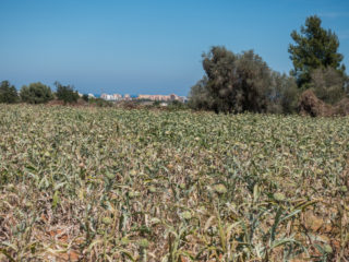 Peníscola, España 1