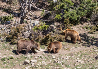 Naturlandia, Andorra 3