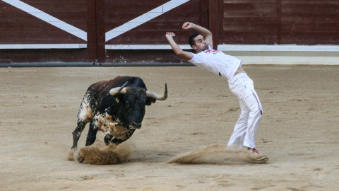 Concurso de recortes, Vitoria-Gasteiz, Spain