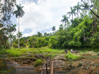 Parque Guanayara, Cuba2