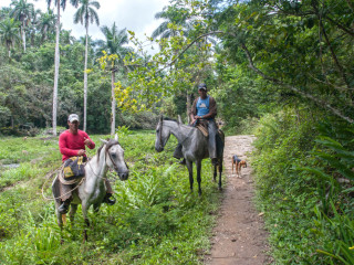 Parque Guanayara, Cuba3