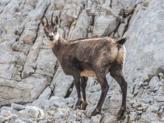 Totes Gebirge, Austria 7