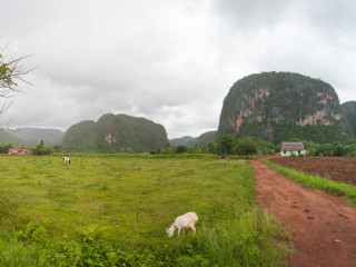 Viñales, Cuba2