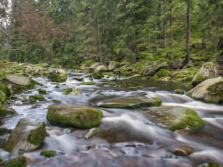 Vydra, Sumava, Czech Republic2