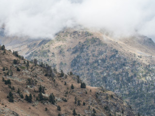 Camino Portella de Sanfonts, Parque de Comapedrosa, Andorra3