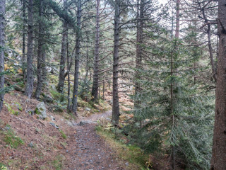 Camino al Arinsal, Parque de Comapedrosa, Andorra