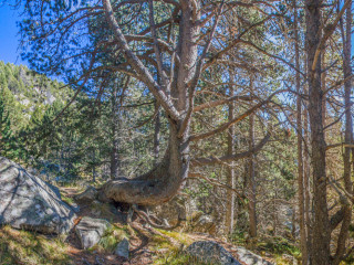 Camino al pic de Aspra, Andorra5