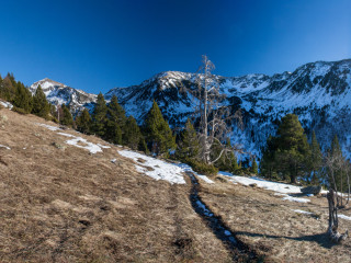 Planell del Ouer, Parque de Sorteny, Andorra4