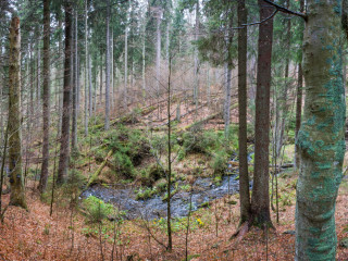 Boubin, Sumava, Czech Republic2