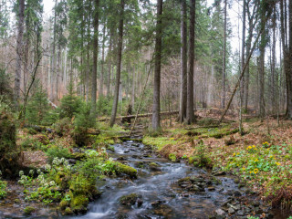 Boubin, Sumava, Czech Republic3