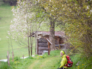 Kasperske hory, Czech Republic1