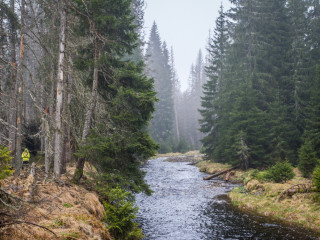 Roklansky potok, Modrava, Sumava, Czech Republic1