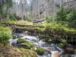 Roklansky potok, Modrava, Sumava, Czech Republic3