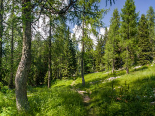 Planina Visevnik, Fuzinarske planine, Slovenia1