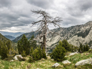 Collada des Feixetes, Parque Nacional de Aigüestortes, Spain1