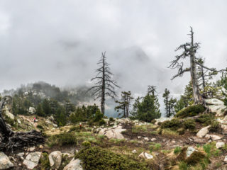 Estany Negre de Peguera, Parque Nacional de Aigüestortes, Spain3