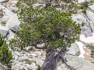 Monestero, Parque Nacional de Aigüestortes, Spain3