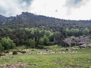 Prat de Platers, Parque Nacional de Aigüestortes, Spain2