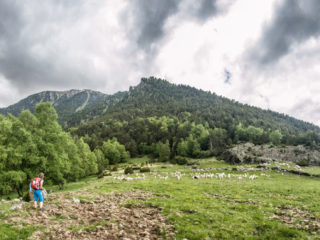 Prat de Platers, Parque Nacional de Aigüestortes, Spain3