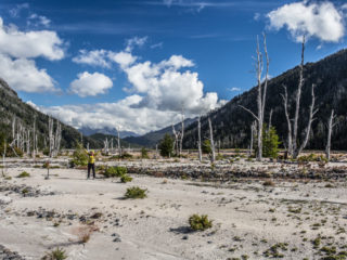 Glaciar Michimahuida, Parque Pumalín, Chile 9