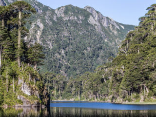 Laguna el Toro, Parque Nacional Huerquehue, Chile 6