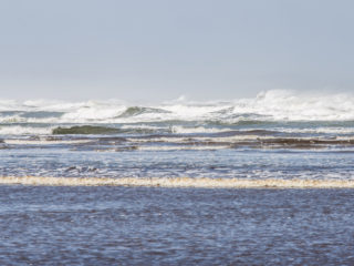 Parque Nacional Chiloé, Isla de Chiloé, Chile 15