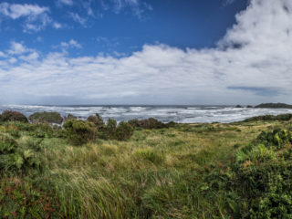 Parque Nacional Chiloé, Isla de Chiloé, Chile 16