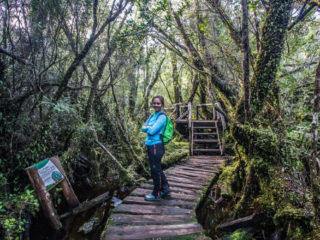 Parque Nacional Chiloé, Isla de Chiloé, Chile 4