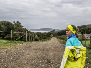 Parque Nacional Chiloé, Isla de Chiloé, Chile 6