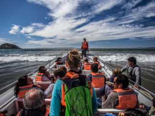 Puñihuil, Isla de Chiloé, Chile 1