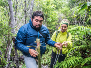 Ruta de Darwin, Parque Pumalín, Chile 1