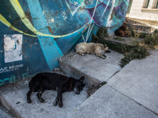 Valparaíso, Chile 5