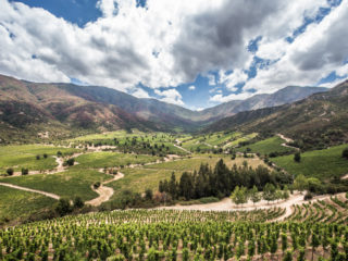 Viña Ventisquero, Valley Colchagua, Santa Cruz, Chile 1