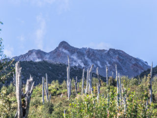 Volcán Chaitén, Parque Pumalín, Chile 2