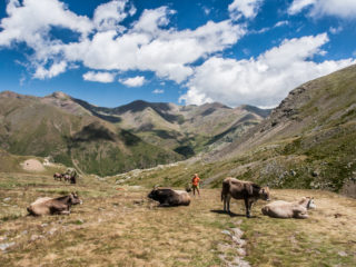 Parque natural Vall de Nuria, Catalunya, España 11