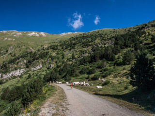 Parque natural Vall de Nuria, Catalunya, España 2