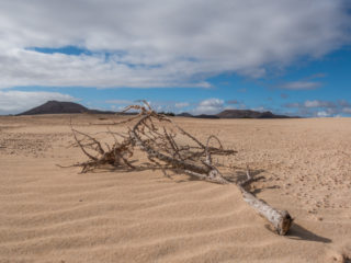 Dunas de Corralejo, Fuerteventura, Spain7