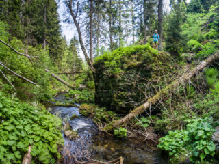 Jeseniky, Czech Republic