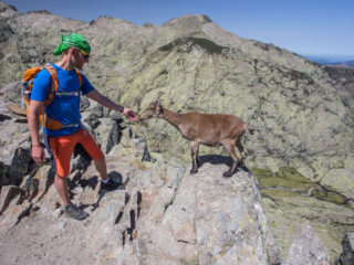 Sierra de Gredos, España 4