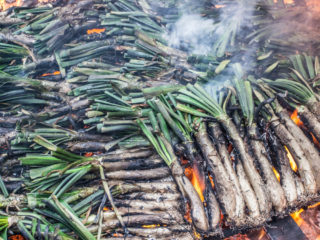 Calcot, Os de Civís, Catalunya, Spain