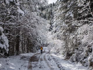 Camino a Francoli, Andorra 1