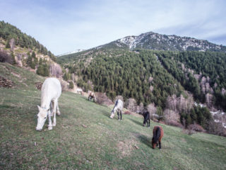 Pedruella, Os de Civís, Catalunya, Spain5