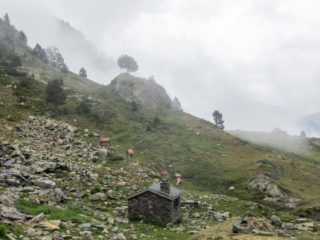 Camino Angonella, Andorra 10