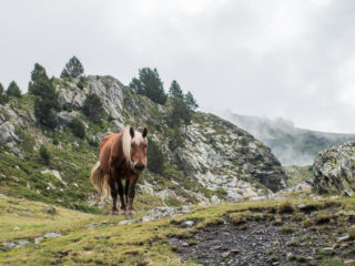 Camino Angonella, Andorra 11