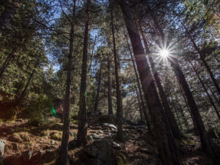 El Riguer, Madriu, Andorra 2