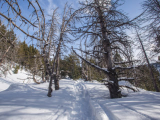 Ensagents, Andorra 4