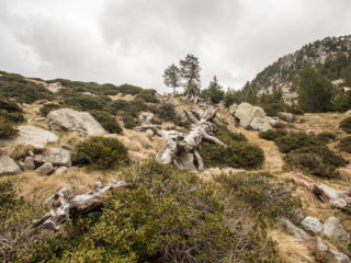 Estany de la Nou, Madriu, Andorra 4